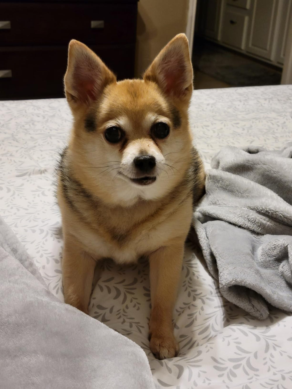 <h3>Déjà plus de <strong>10 000</strong> maîtres conquis</h3>