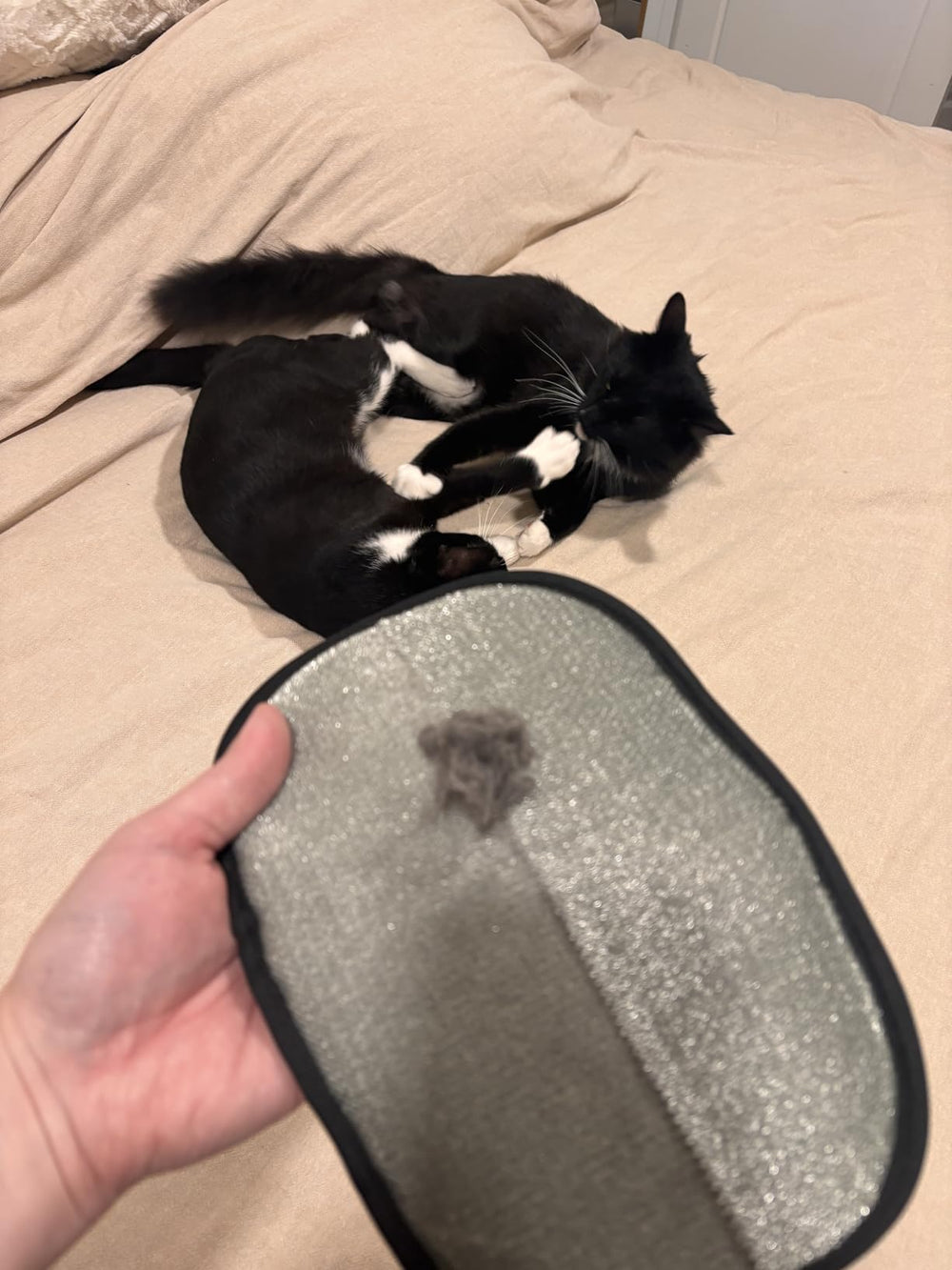 <h3>Déjà plus de <strong>10 000</strong> maîtres conquis</h3>