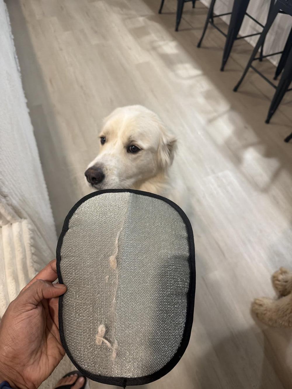 <h3>Déjà plus de <strong>10 000</strong> maîtres conquis</h3>