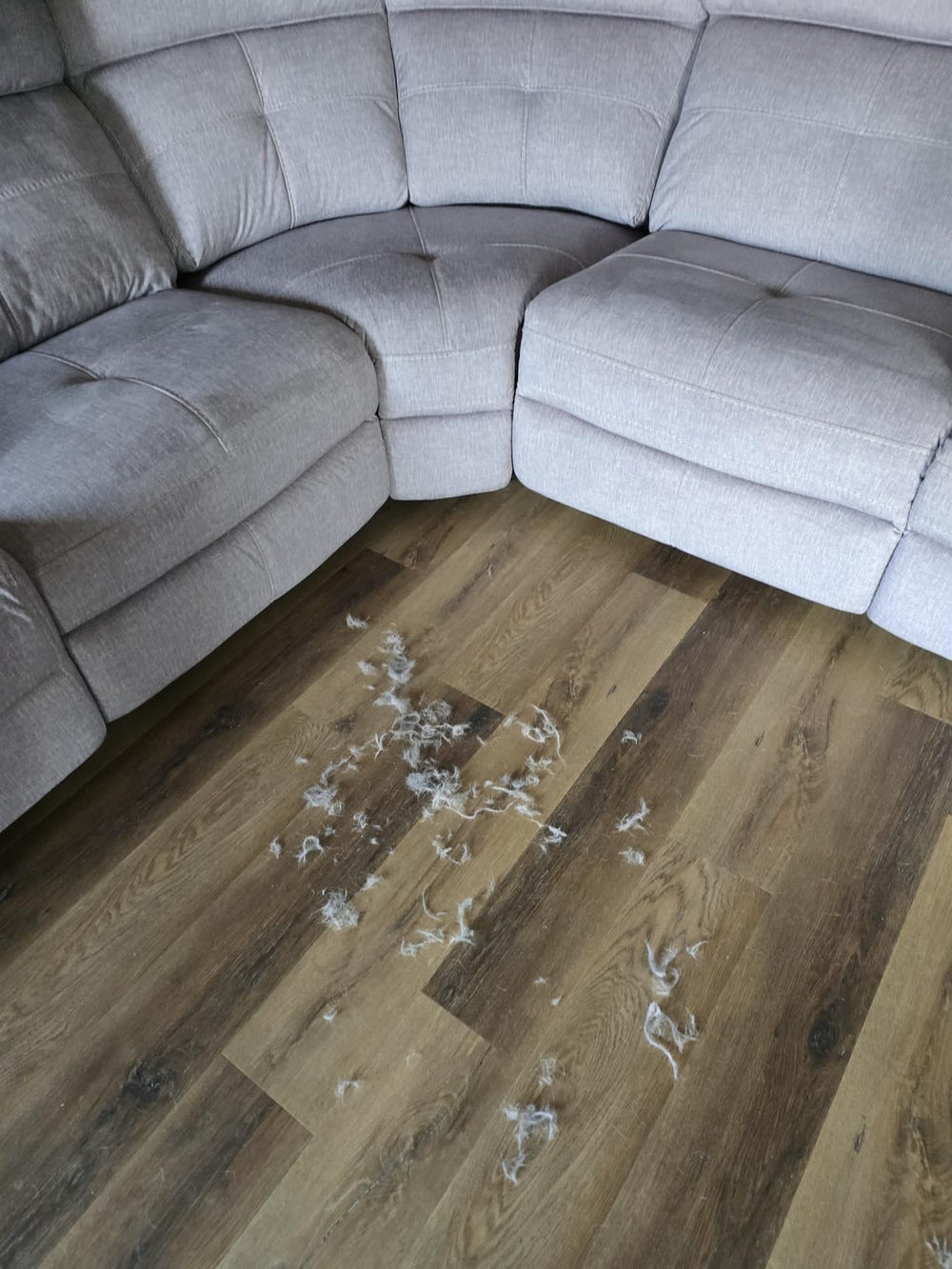 <h3>Déjà plus de <strong>10 000</strong> maîtres conquis</h3>