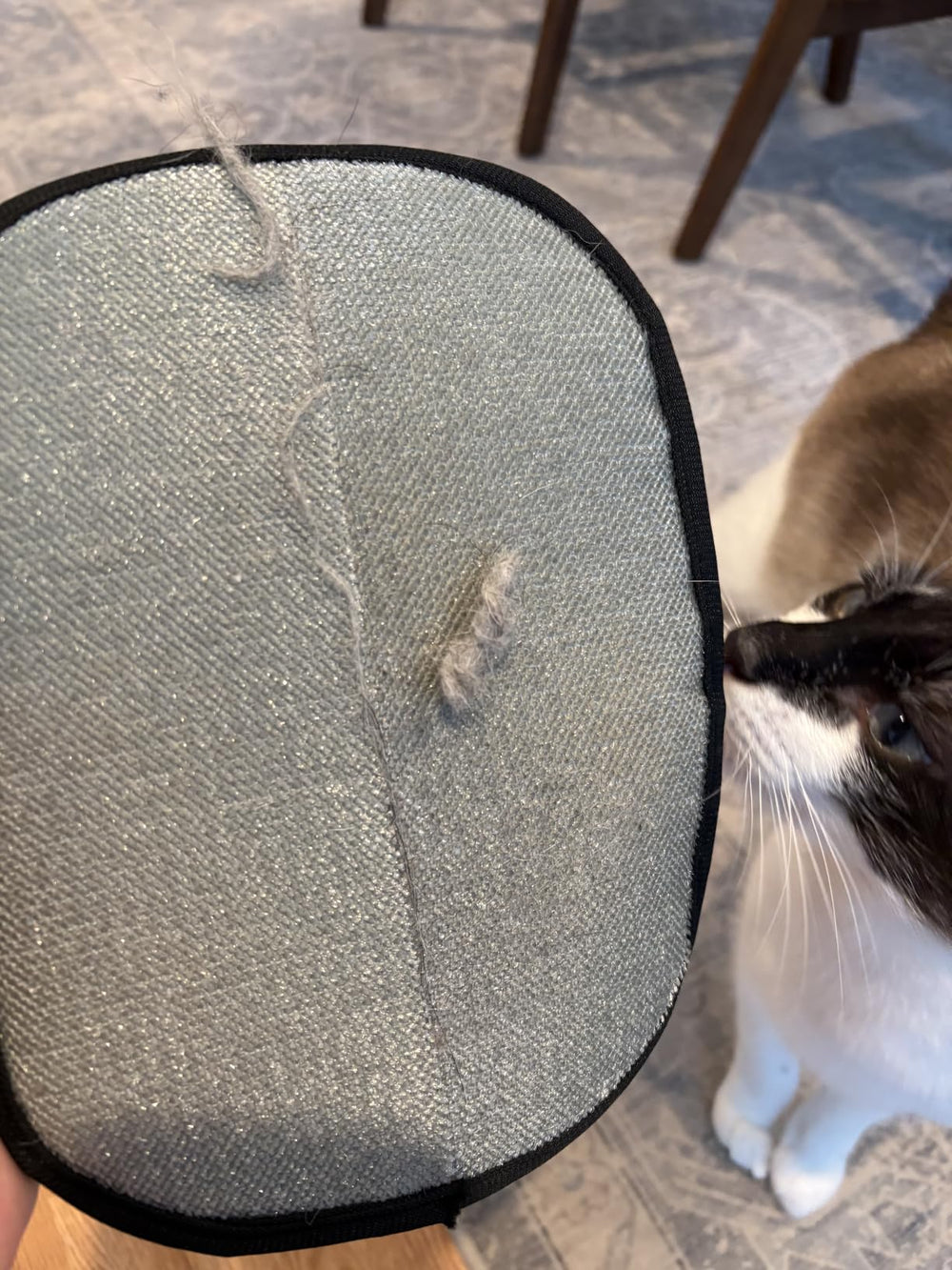 <h3>Déjà plus de <strong>10 000</strong> maîtres conquis</h3>